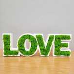 Drewniane Litery LOVE Mech Reniferowy Chrobotek