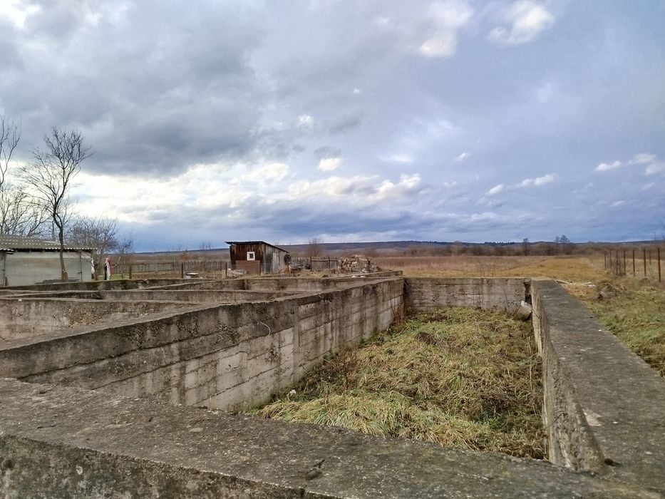 ЛИСЕЦЬ 0.16 га під забудову