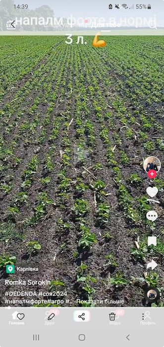 Продам сою урожай 2024 року