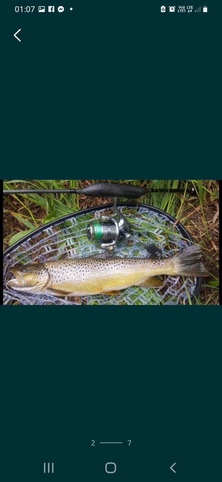 Pijawki / Pstrag / Okoń / Kleń