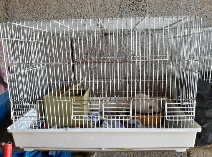 Gaiola com acessórios