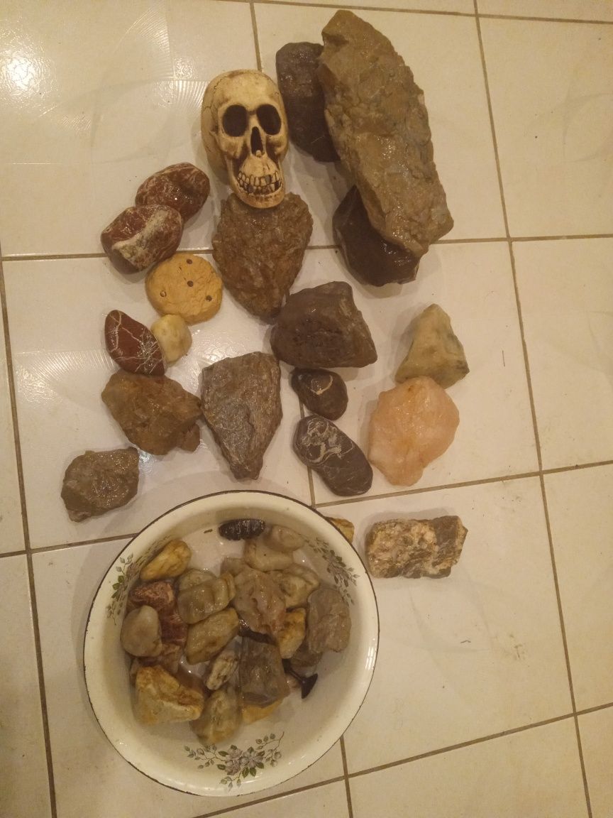 Mix kamieni do akwarium 25kg czaszka