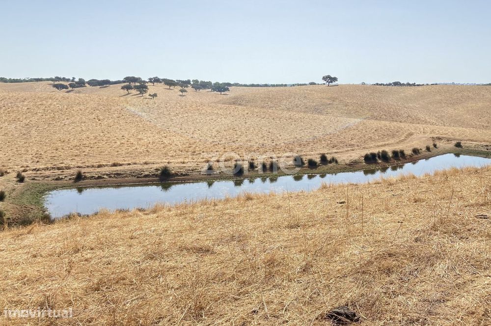Herdade em Alentejo Beja Portugal