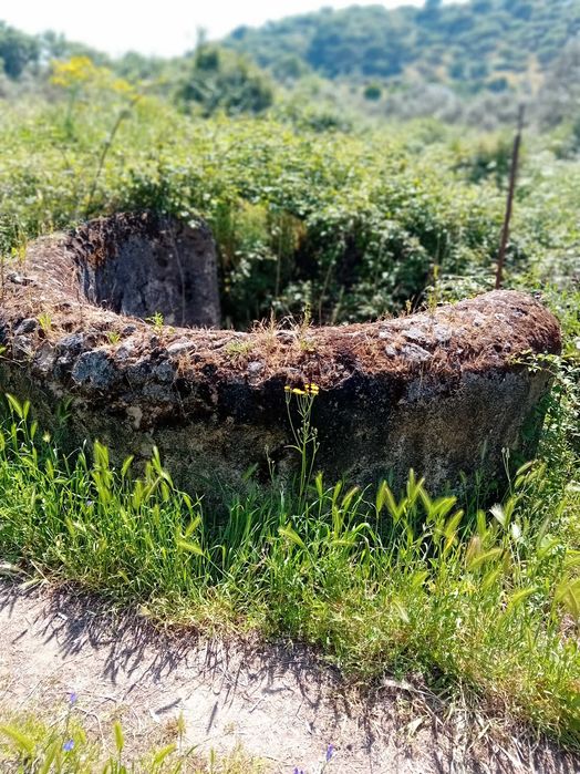 quinta  s mamede urra Alentejo Portalegre