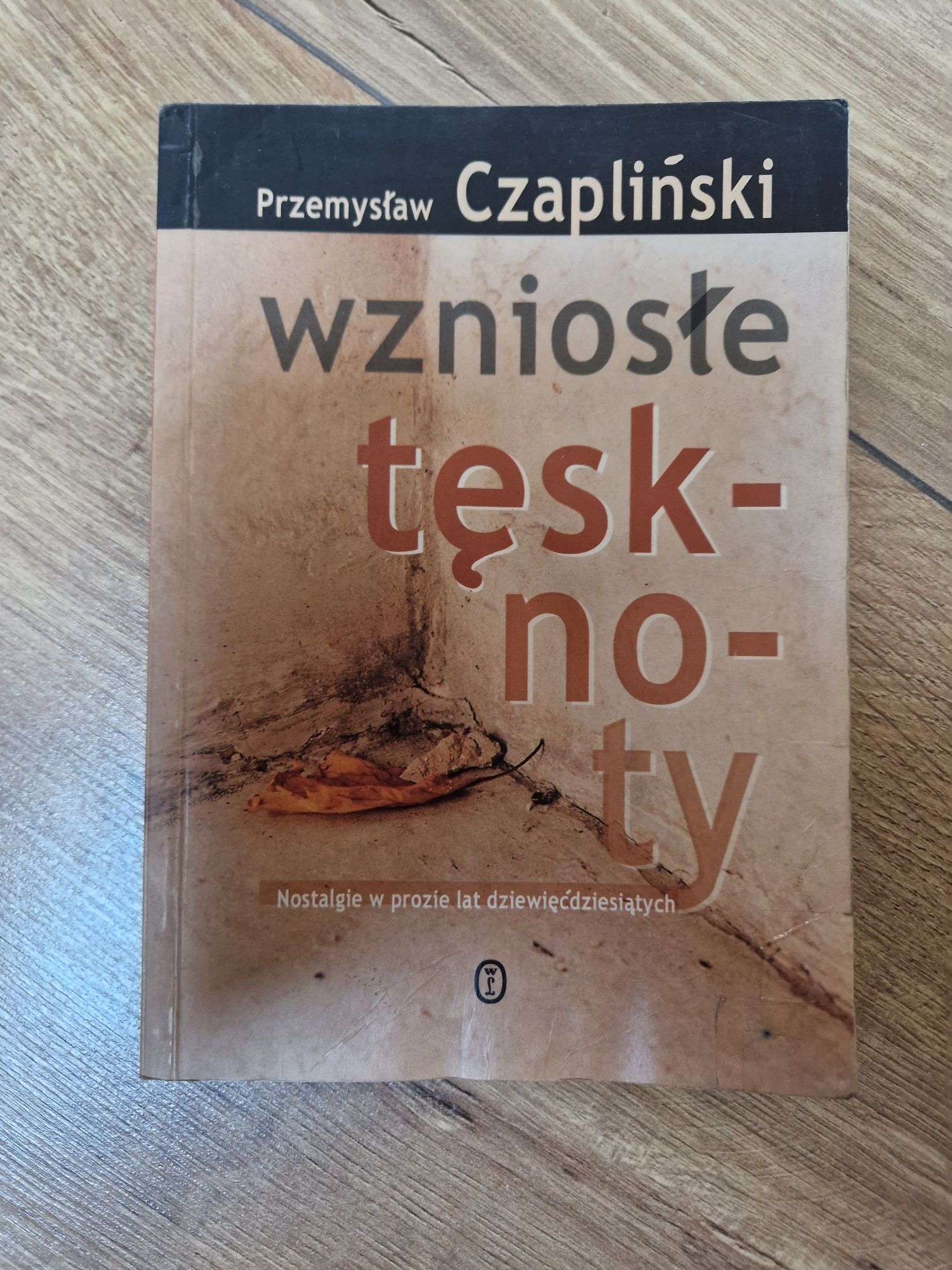 Czapliński, Wzniosłe tęsknoty