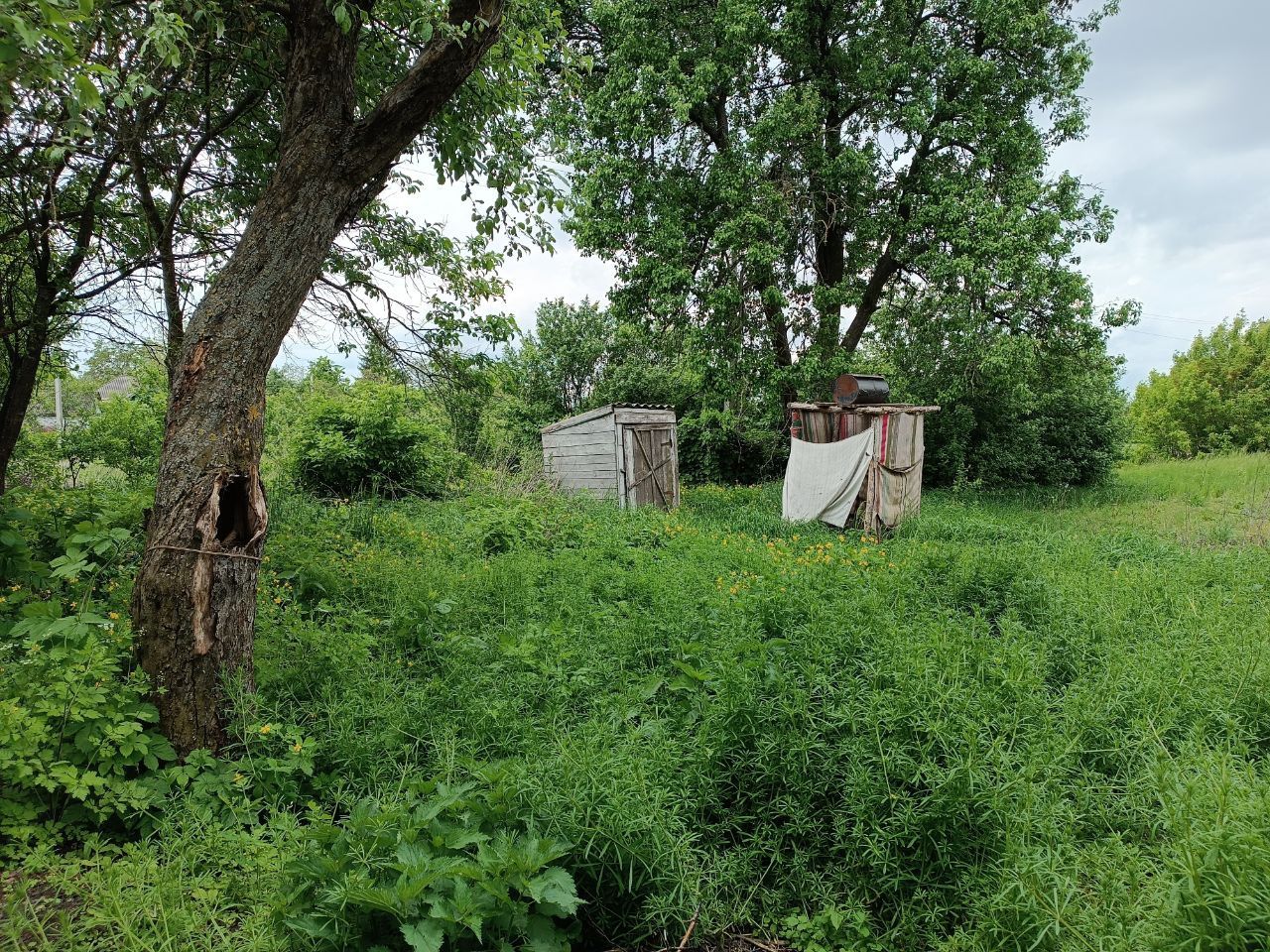 Продається будинок в селі Дмитрівка, Черкаської області