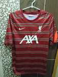 Мужская футболка найк ливерпуль nike liverpool fc dry originals
