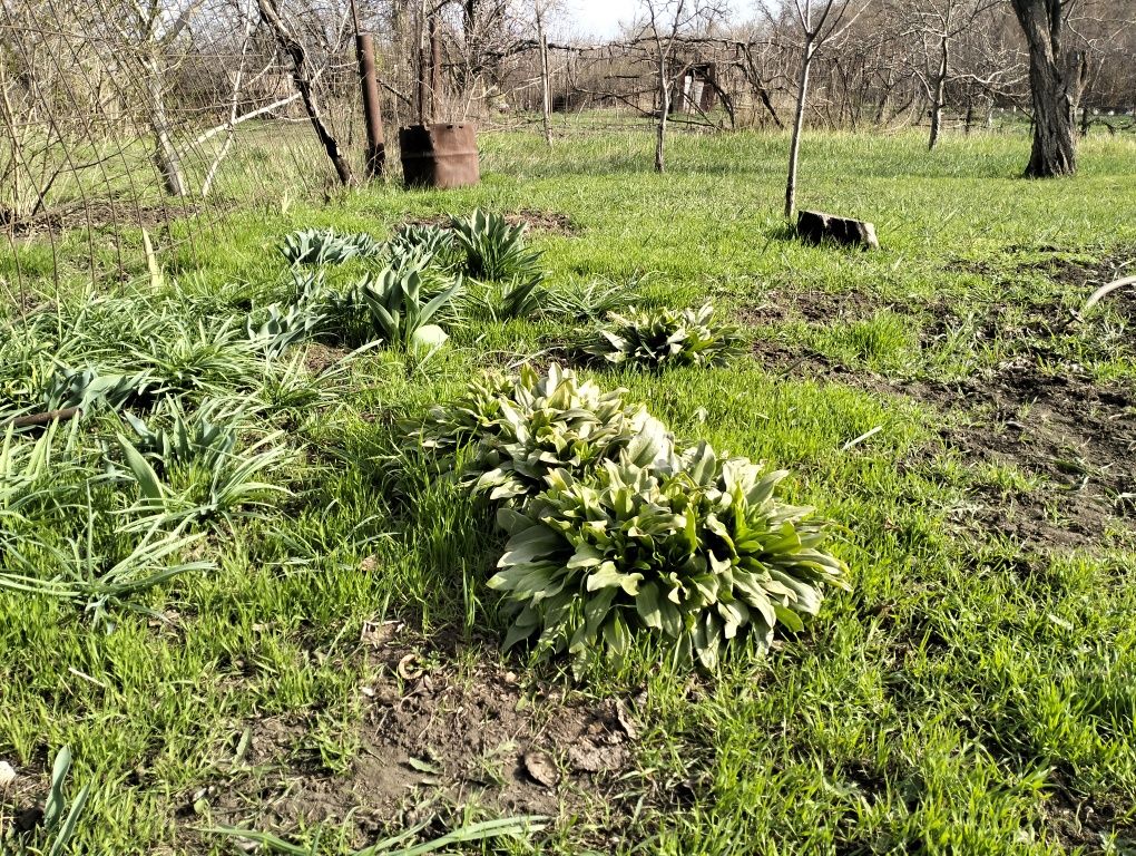 Продам дачу 8соток