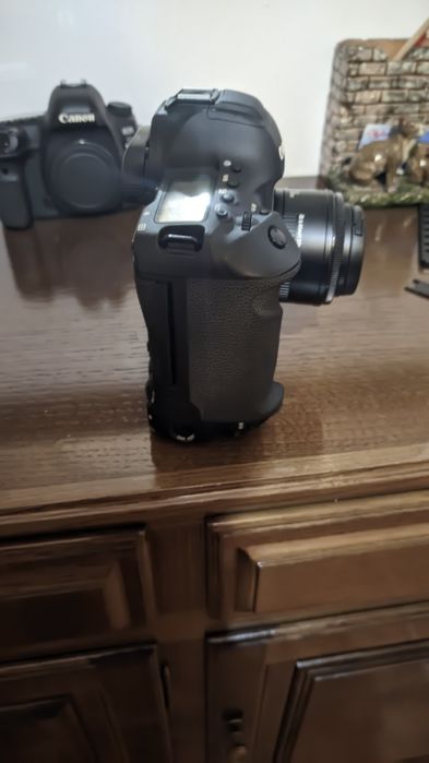 Canon EOS 1DX Mark II