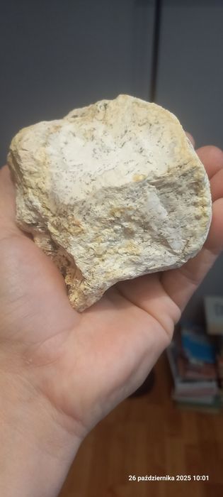 Minerały magnezyt z dendrytami