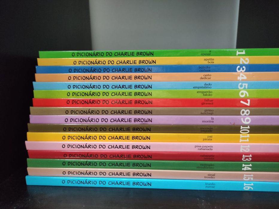 Coleção Enciclopédias/Dicionários de Português - Inglês