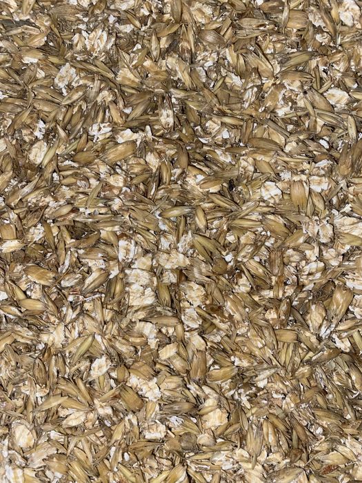 Owies gnieciony, walcowany, kruszony oraz w całości