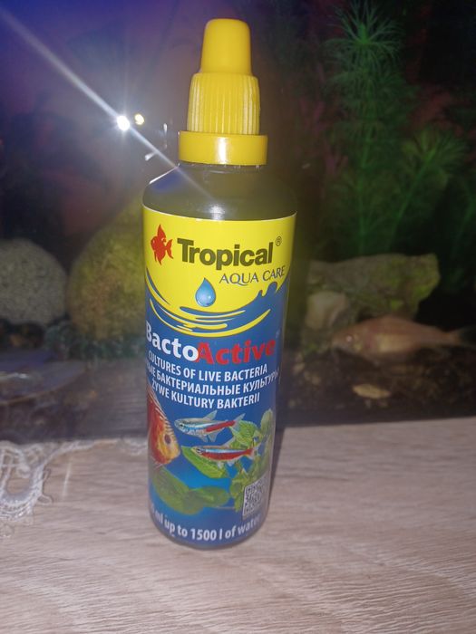 Tropical Bacto-Active 100ml