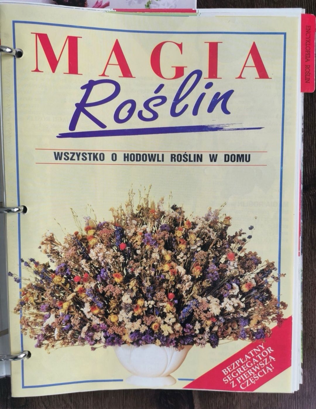 Magia Roślin - 3 segregatory