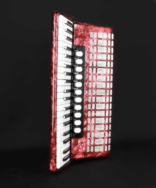 Acordeão Weltmeister Achat - 120 Baixos, 4a Voz + mala de transporte