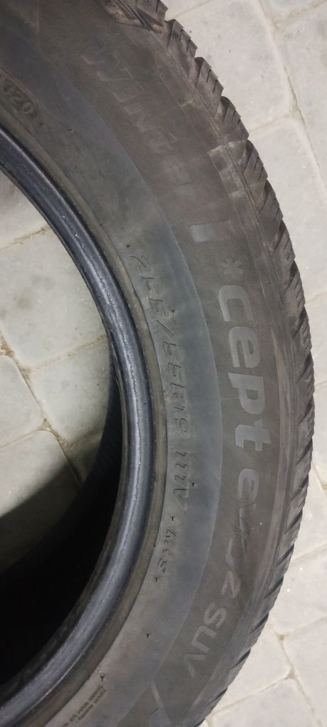 255/55R19 opony zimowe hankook winter icept evo2