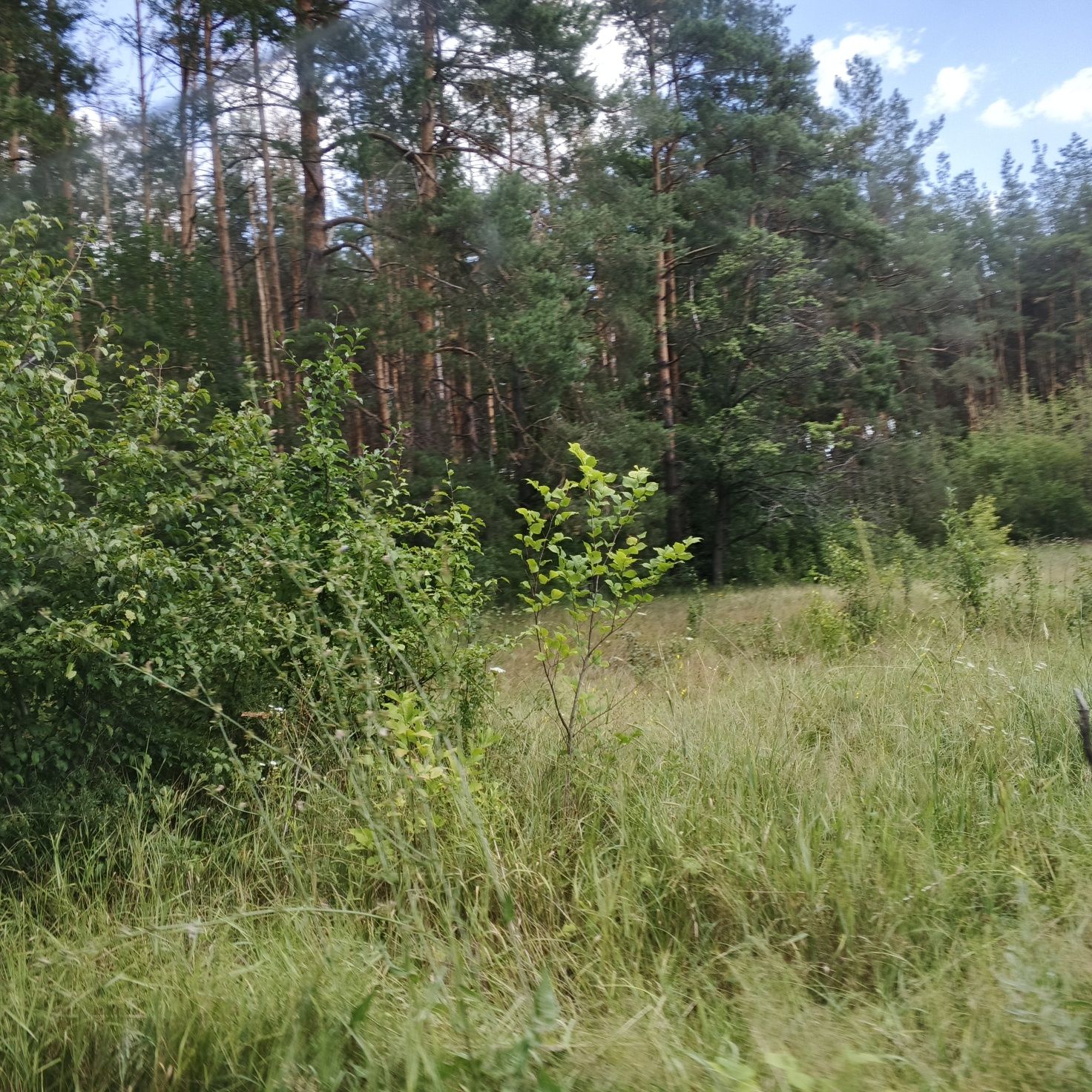 Продаю дом современный постройки г.Мерефа рядом лес ,река.