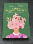 Książka Czuła przewodniczka