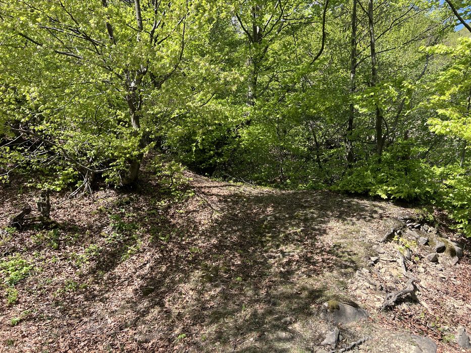 Крута локація у селі Мерешор ділянка 7 сотих