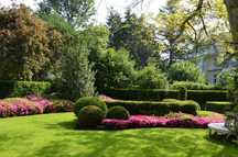 JARDINAGEM PROFISSIONAL em Lisboa e arredores