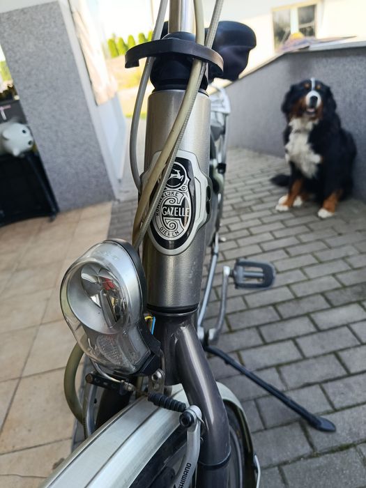 Rower elektryczny Gazelle, Rower ze wspomaganiem elektrycznym