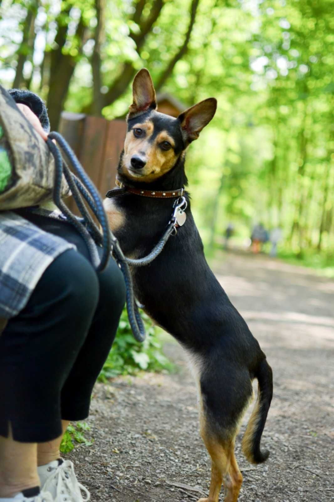 Sara sunia po wypadku bardzo potrzebuje domu