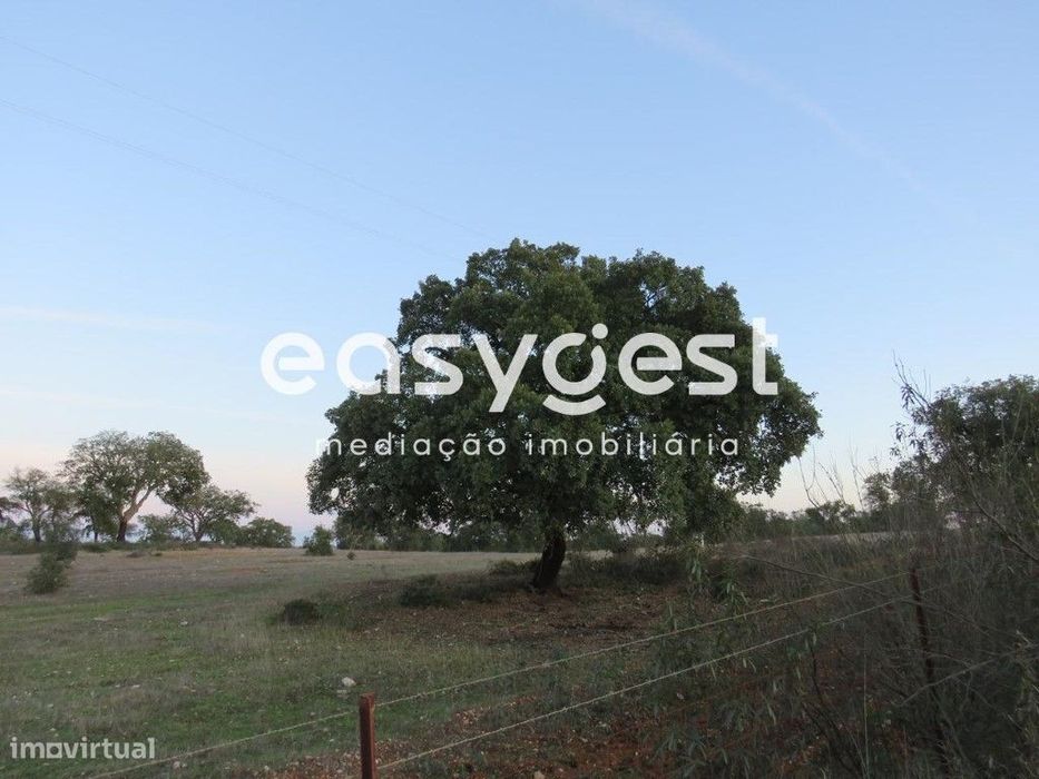 Terreno zona de Serpa com 9,5 hectares