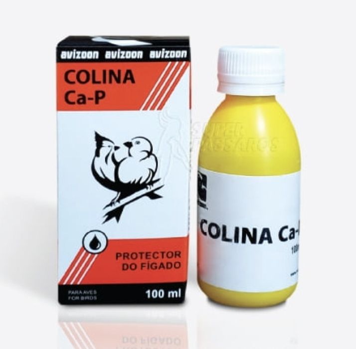 Produtos  para canarios