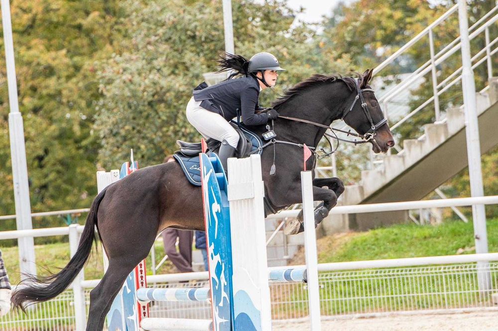 Piękna Klacz do sportu
