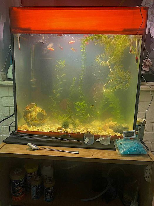 Продам Акваріум 45 літрів з рибками ітд.
