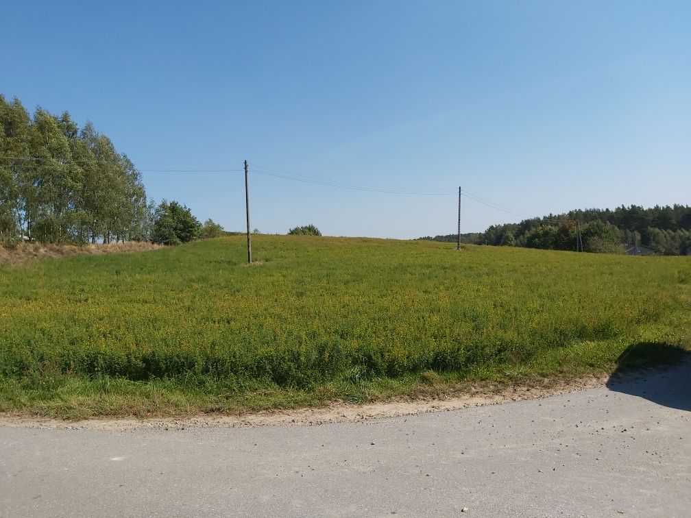 Działka siedliskowa 6060 m2