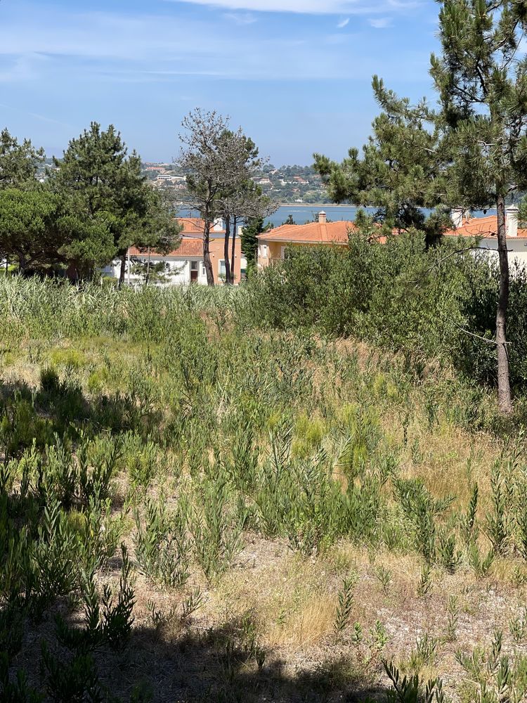 Venda ou permuta 2 lotes de terreno com projeto aprovado