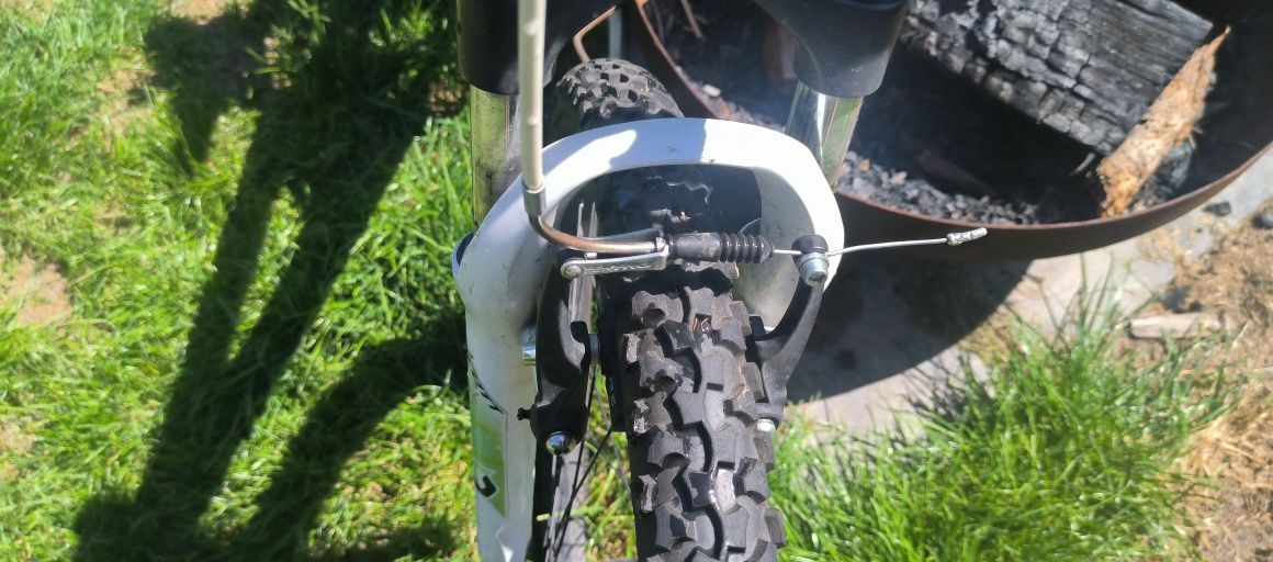 Rower Scott Scale Jr 24