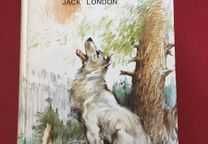 Coleção 5 títulos de literatura juvenil