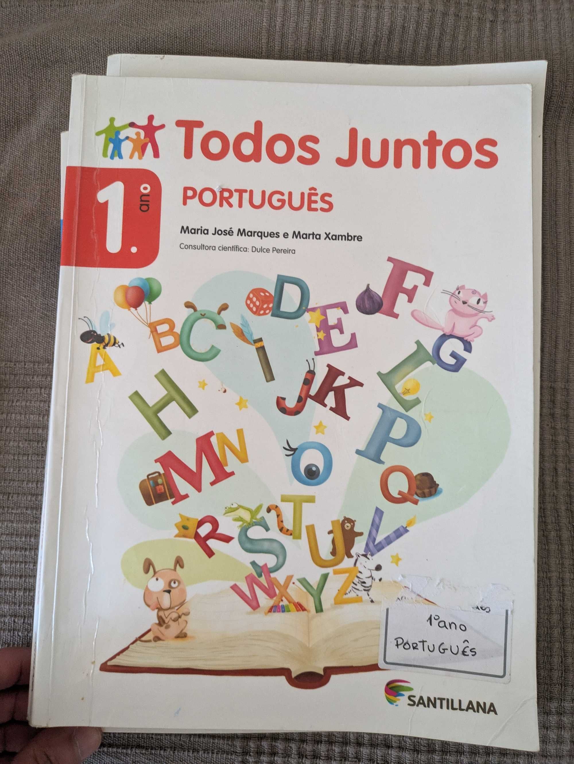 Livros escolares 1º ano - Todos Juntos