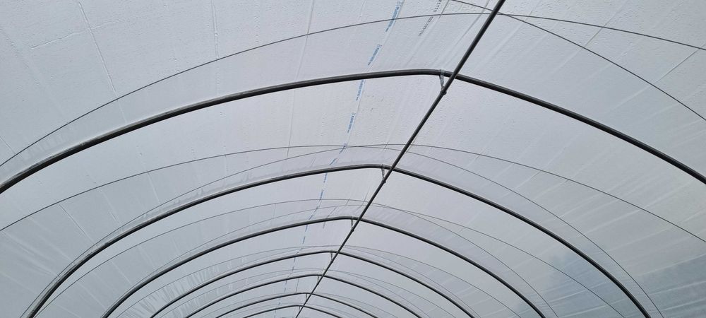 Tunel foliowy 7,5 lub 7m x 30 m gotyk