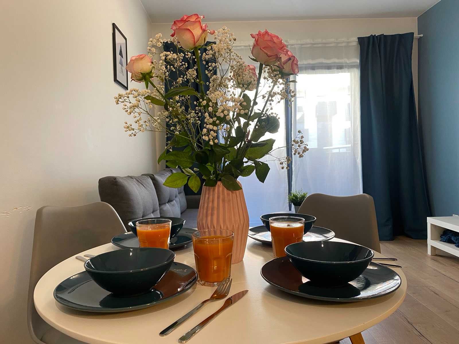 Apartament Wrocław, centrum, SPA i siłownia