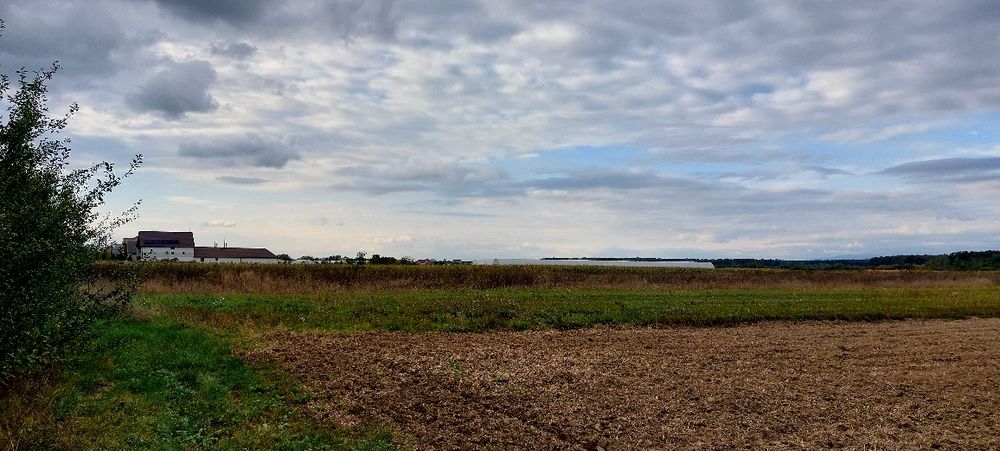 Продається земельна ділянка 50сот  село Велика Добронь