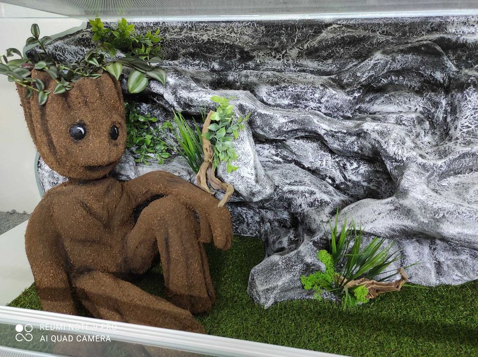 Terrarium z wystrojem dla agamy brodatej, TW46G3, AquaWaves