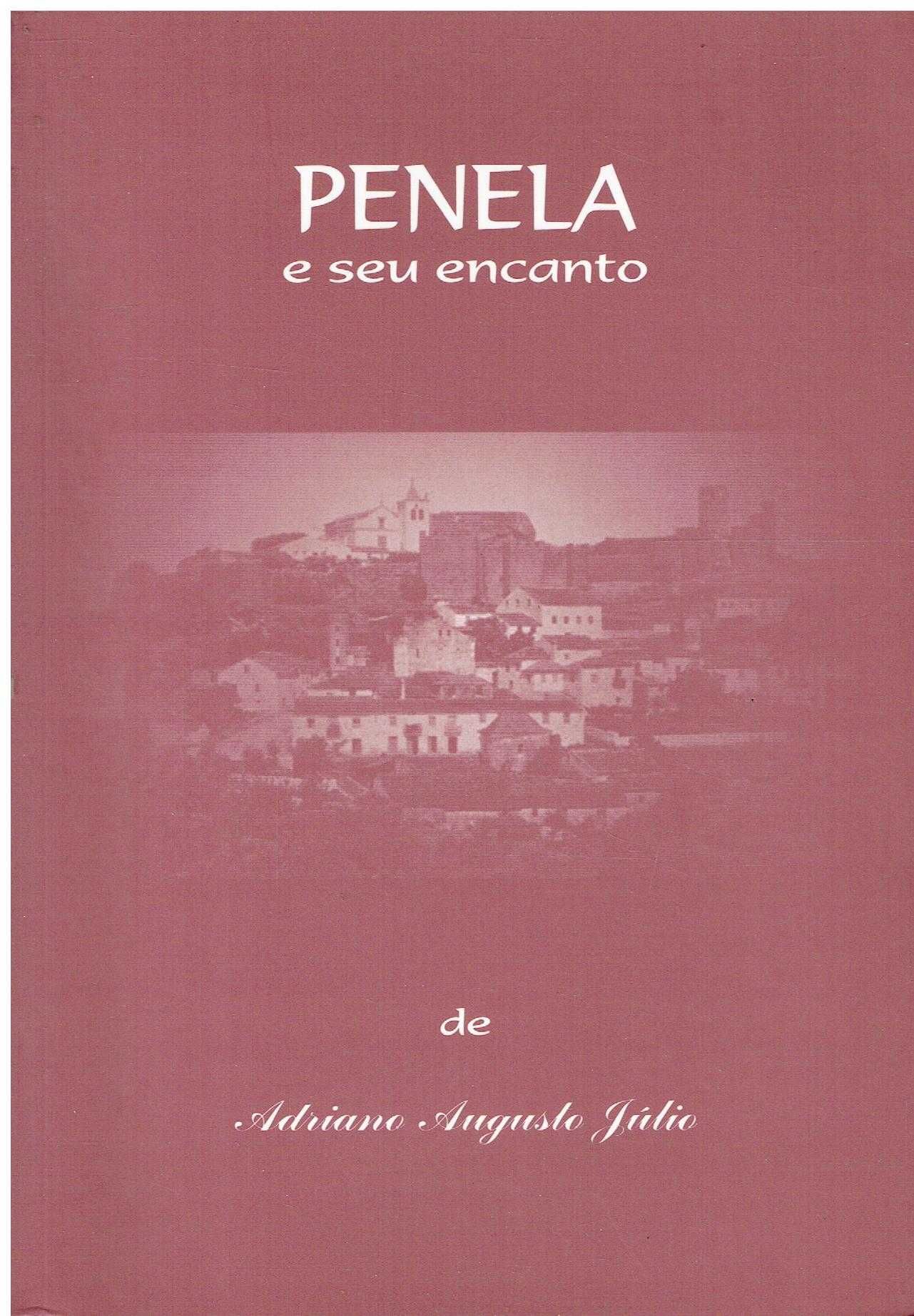 11067 Livros sobre Miranda do Corvo / Penela