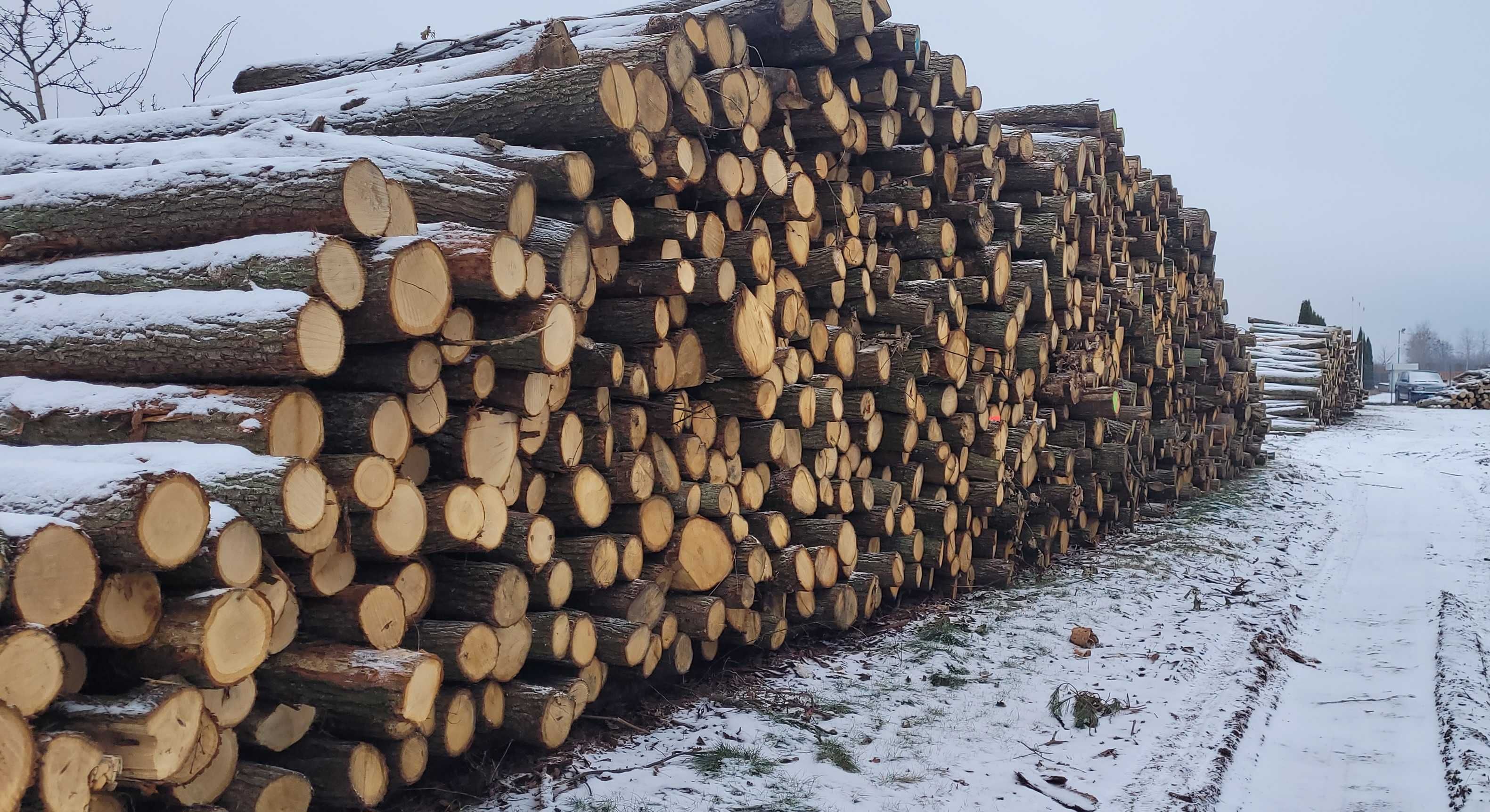 Drewno kominkowe, drewno opałowe , dąb S2a dł. 2,5