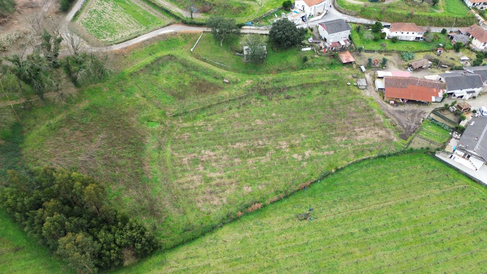Terreno e Monte Santa Eufémia Prazins