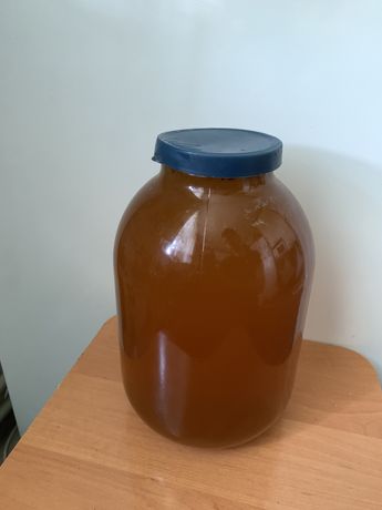 Продам мед (160/літр)