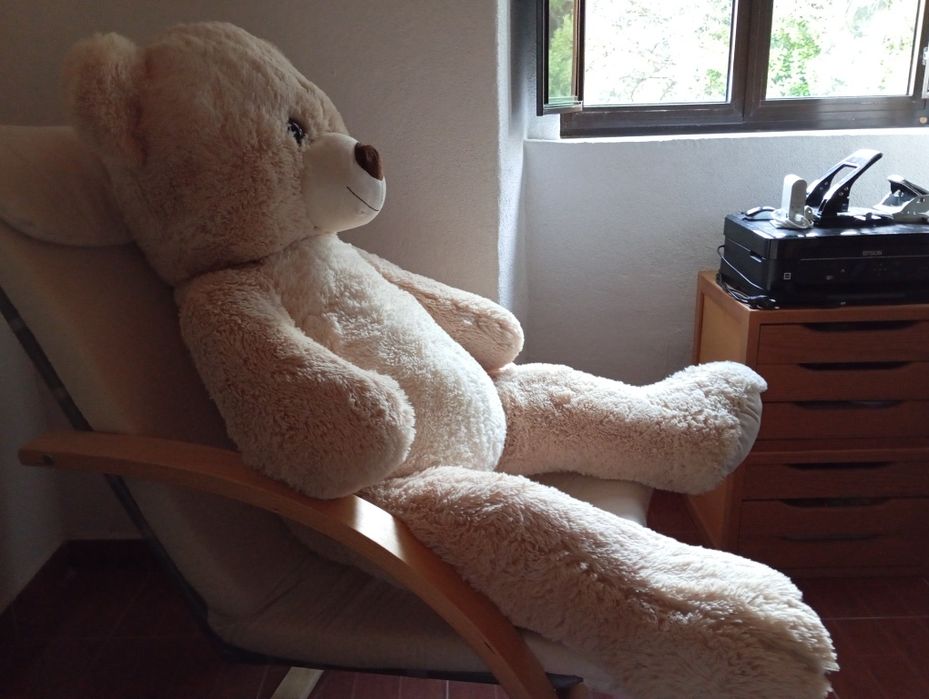 Urso de peluche gigante!