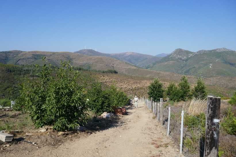 Terreno de 2600 m2 com vista de encantar