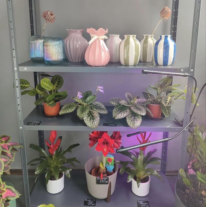 Квітковий бізнес