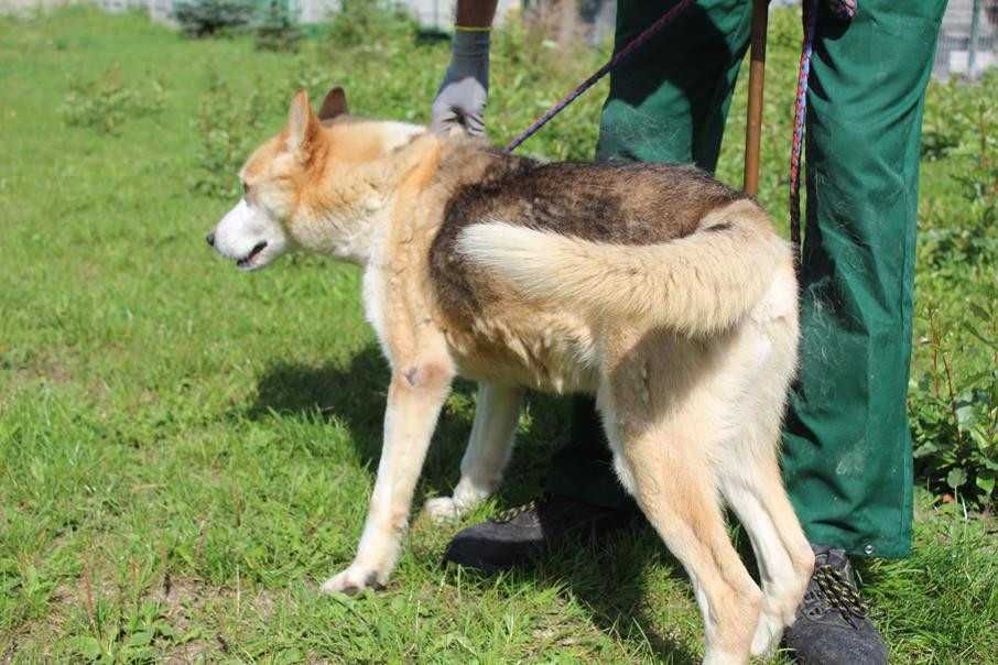 087256 Yondu szuka swojego człowieka.