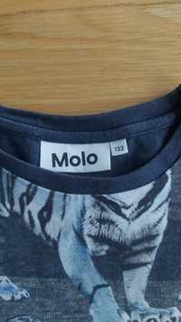 MOLO bluzka art design animal cotton r 122