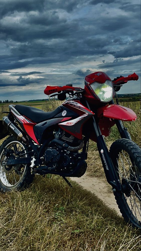 FORTE FT200gy-c5b на документах