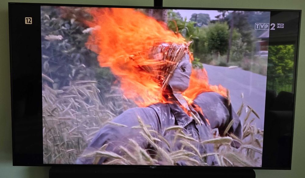 Sony KD-55XE9005 sprawny